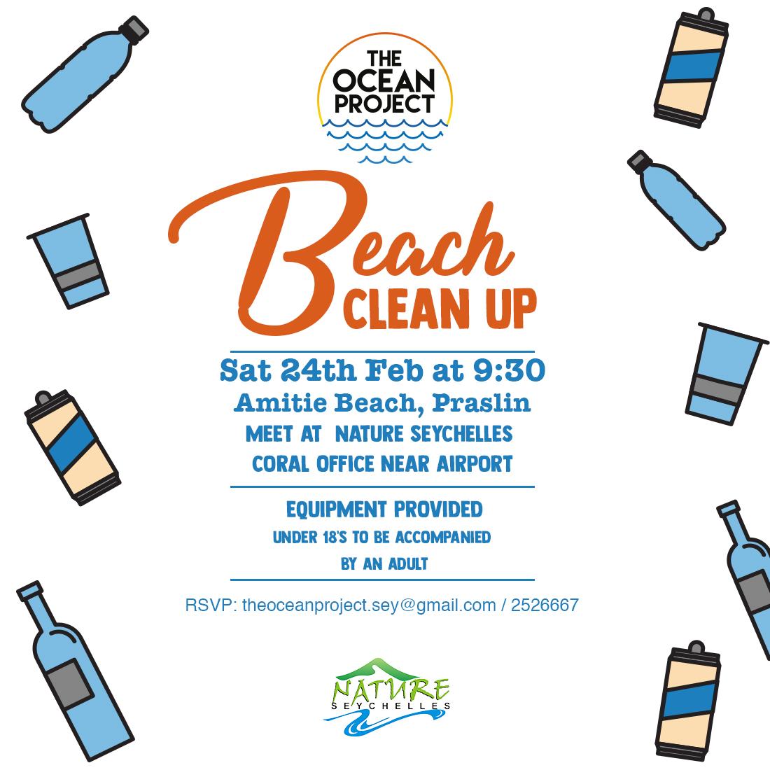 Amitie Praslin Clean Up poster