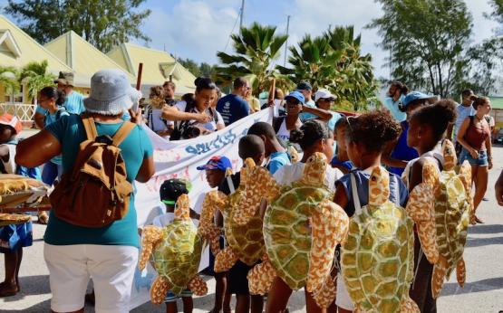 Sea turtle festival 2018