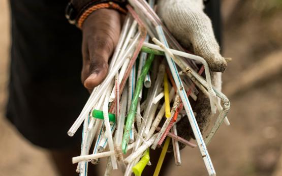 the last straw seychelles Campaign